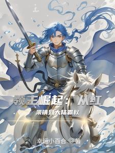 领主崛起:从红果镇到大陆霸权