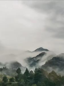 神秘复苏:位面世界