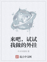 来吧,试试我做的外挂