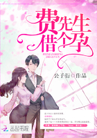 费先生,借个孕(南城待月归)