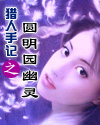 猎人手记系列小说