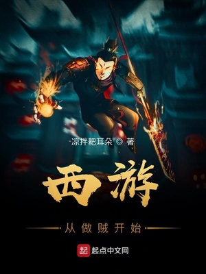 西游从做贼开始