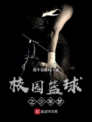 校园篮球之少年梦