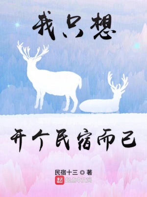 我只想开个民宿而已