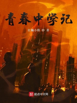 青春中学记