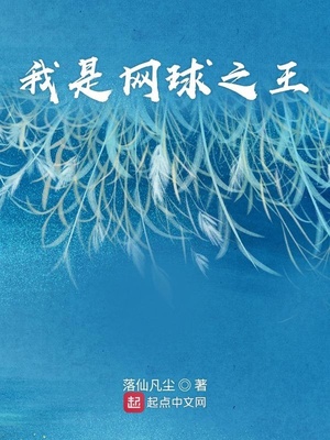 我是网球之王