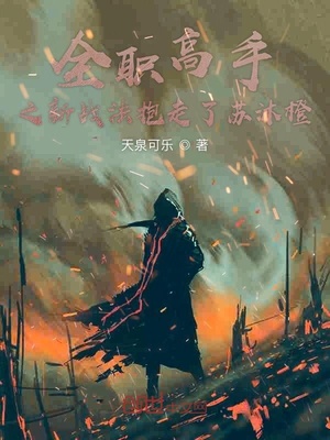 全职高手之新战法抱走了苏沐橙