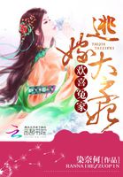 欢喜冤家:逃嫁太子妃