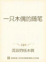 一只木偶的随笔