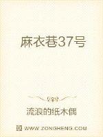 麻衣巷37号