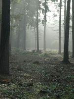 大秦:对抗一切才能赢