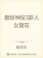 傲娇神探3新人女警花
