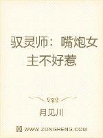 驭灵师：嘴炮女主不好惹