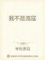 我不是流寇