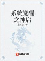系统觉醒之神启