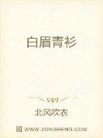 白眉青衫