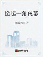 掀起一角夜幕
