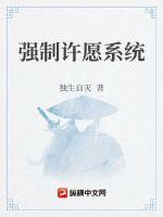 强制许愿系统