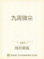 九霄微尘