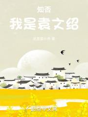 知否:我是袁文绍